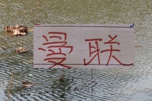 PP电子游戏官网-有排面！U23国足上了《新闻联播》 曼联B费再次入选英超单轮MVP