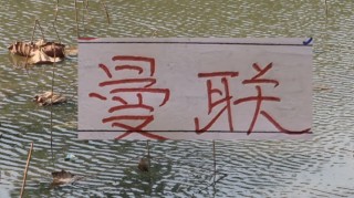 PP电子游戏官网-有排面！U23国足上了《新闻联播》 曼联B费再次入选英超单轮MVP